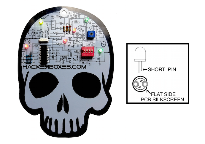 Skull Build and LED Guide.png