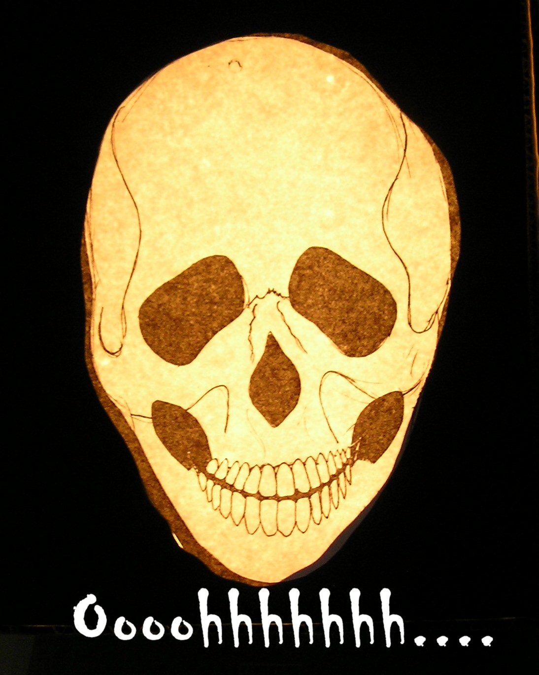 Skull1.jpg