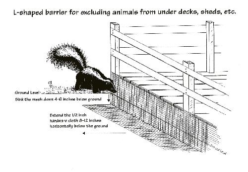 Skunk and digging animal-proofing.jpg