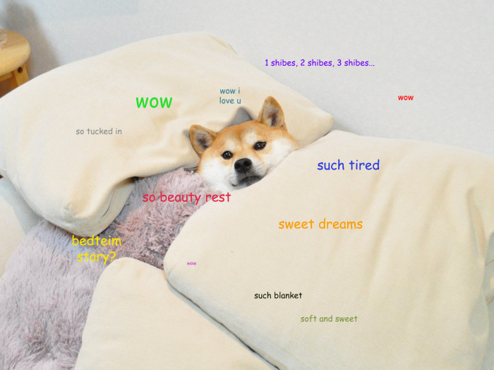 SleepyDoge.jpg