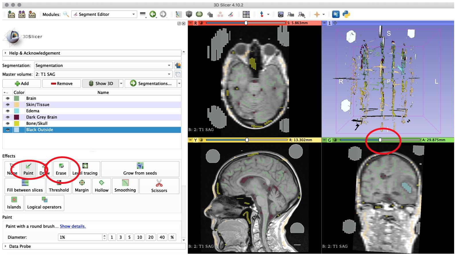 Slide9-PainttheBrain.jpg