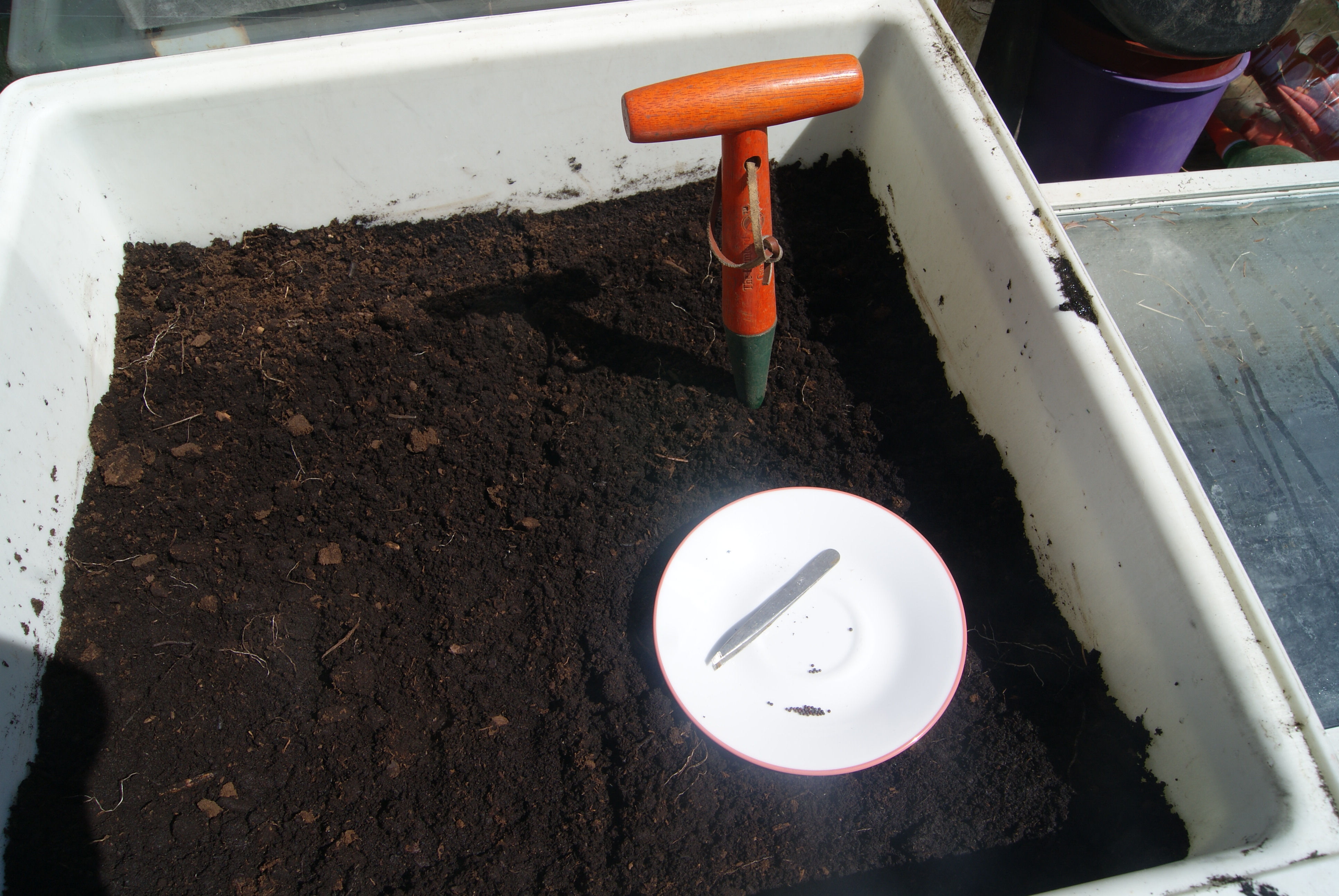 Small Seed Planting.JPG