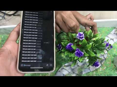 Smart Garden Alarm