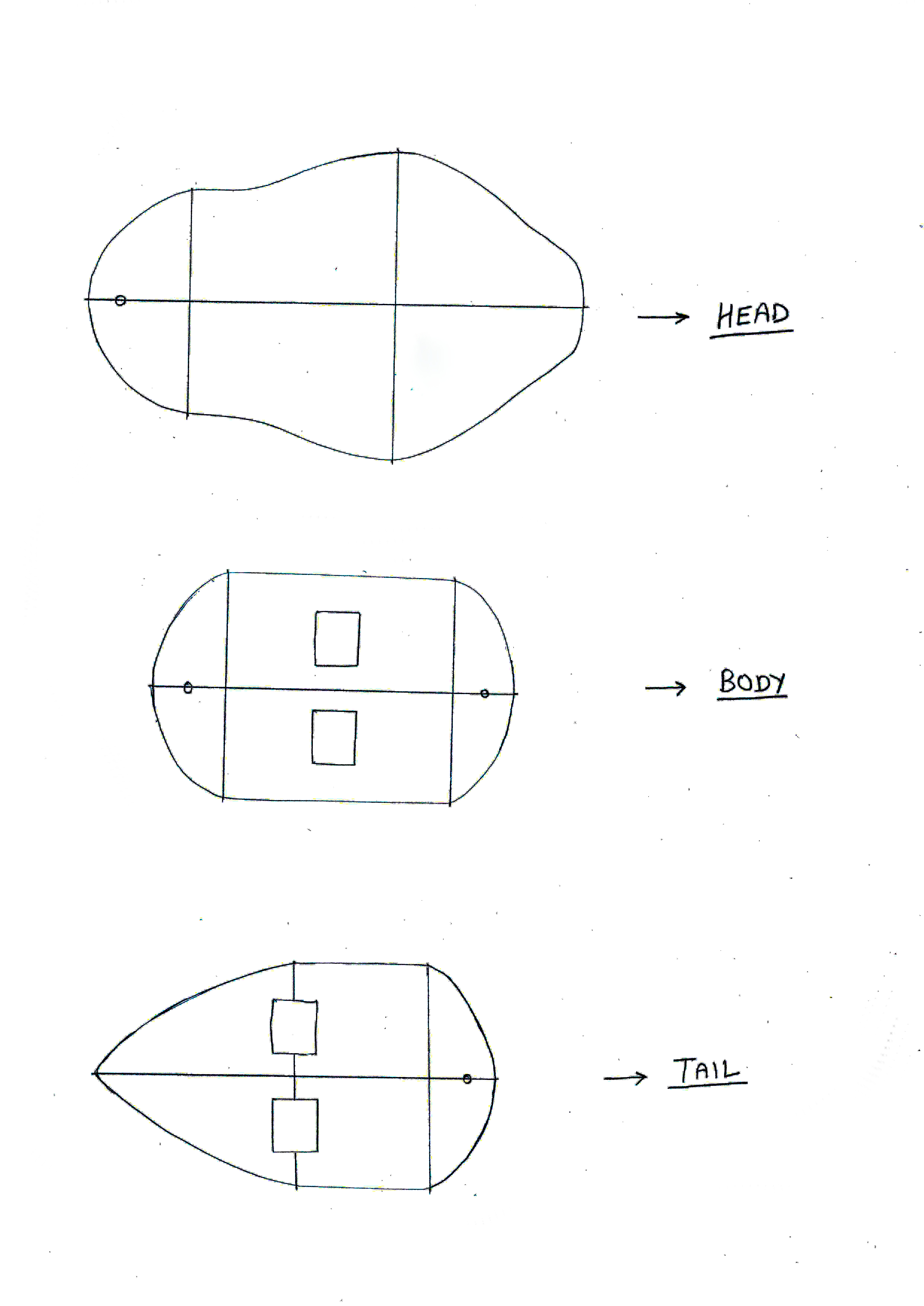 Snake Design Template.jpg