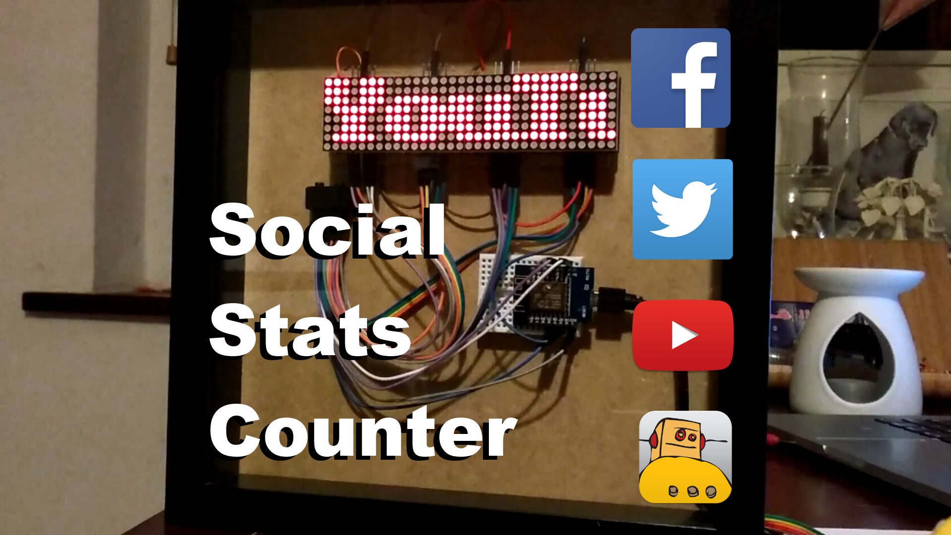 Social Stats Counter Square.png