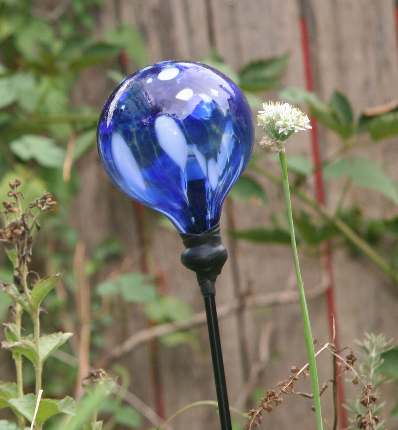 Solar Aqua Globe 2.jpg