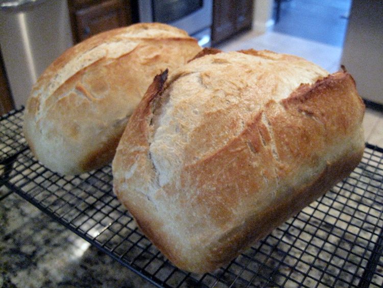 Sour Dough Bread.JPG