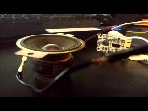 Speaker module test