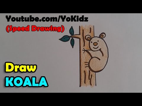 Speed Drawing - How to draw Koala, How to draw a koala step by step for Kids