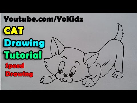 Speed Drawing of Cat, How to draw cat, How to draw cat face, nose, ears and body