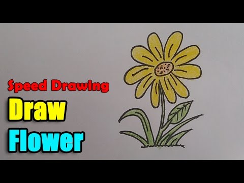 Speed Drawing of Flower, How to draw Flower