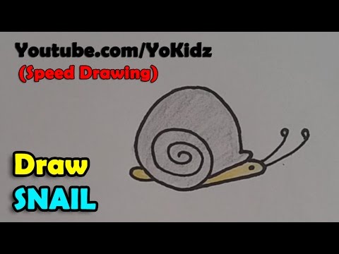 Speed Drawing of Snail | How to draw snail