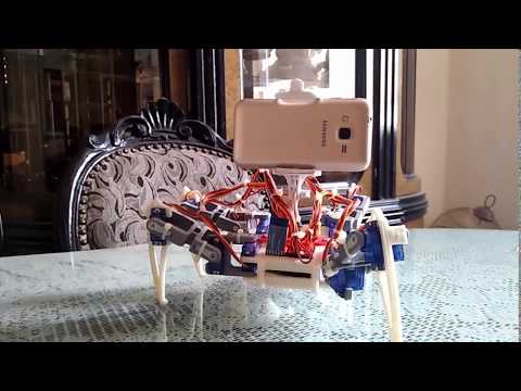 Spider Robot with cam controlled with windows application