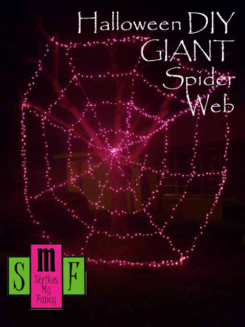 Spider Web Cover.jpg