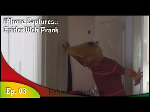 Spider Web Prank