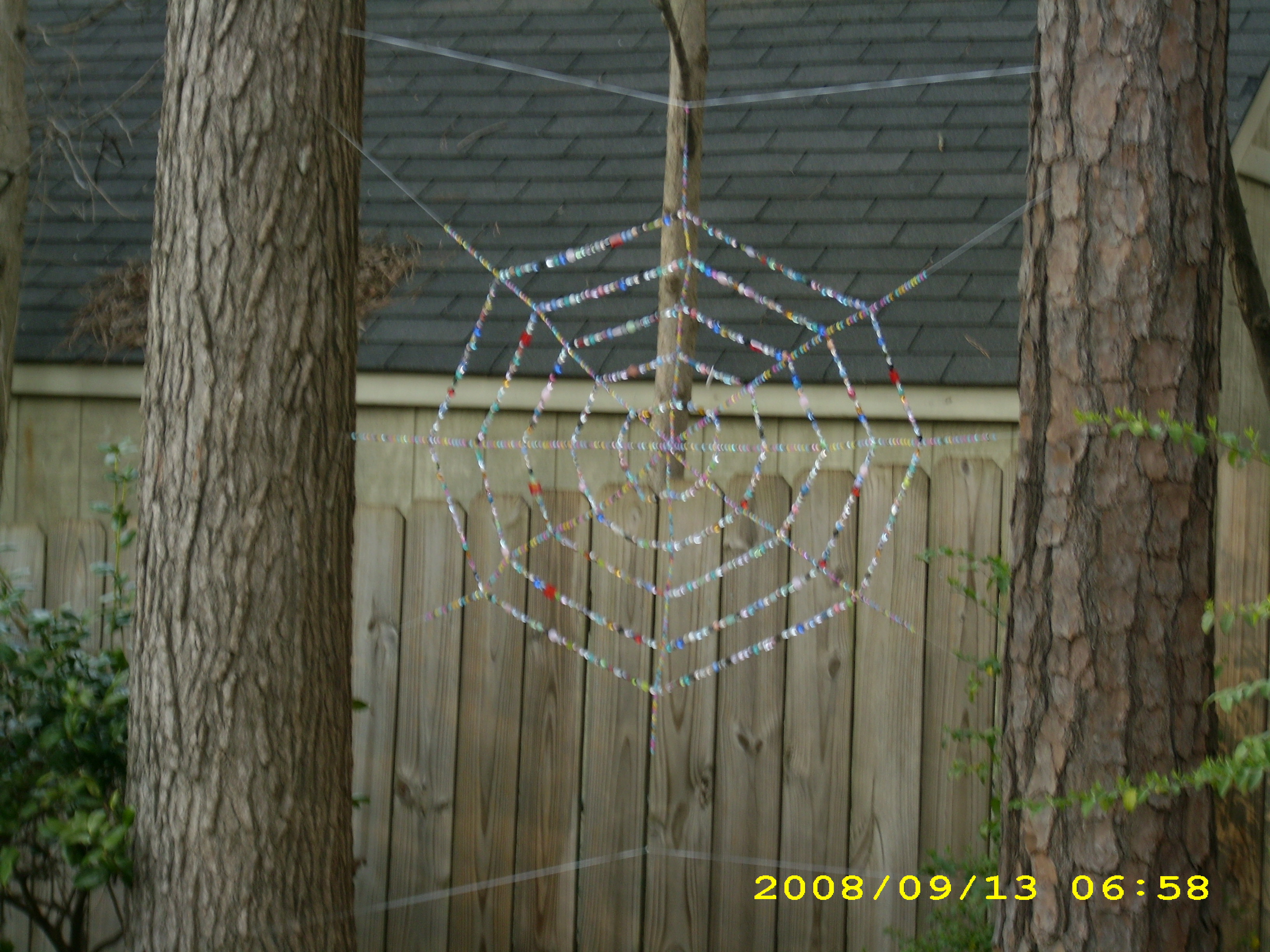 Spider Web.jpg