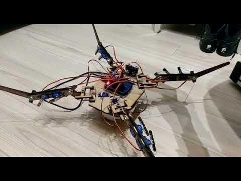 Spider bot test