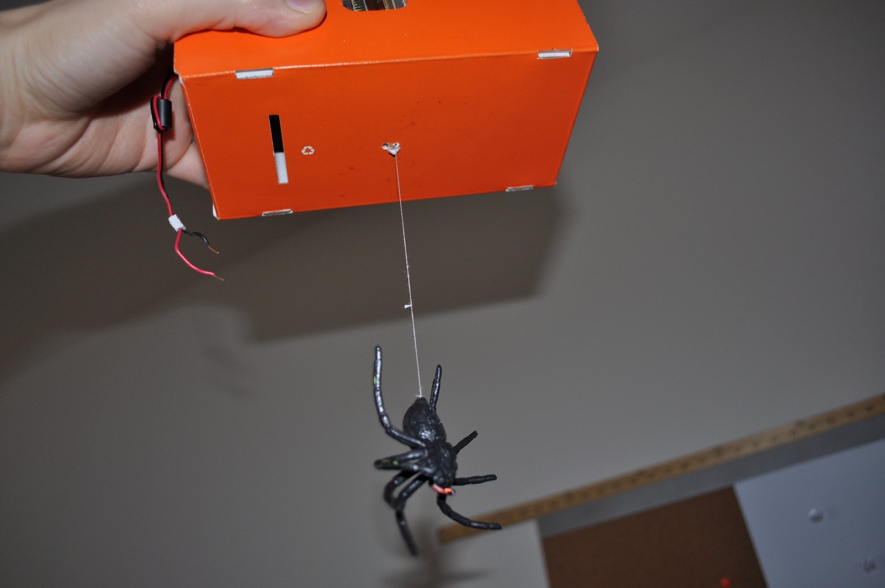 Spider003.jpg