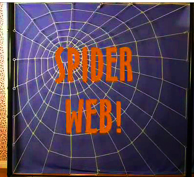 SpiderWeb.jpg