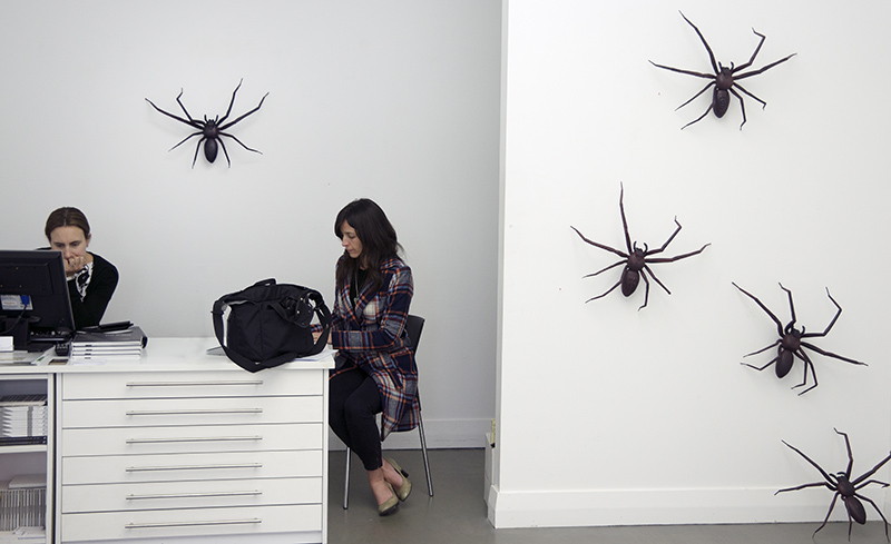 Spiders in Gallery copy.jpg