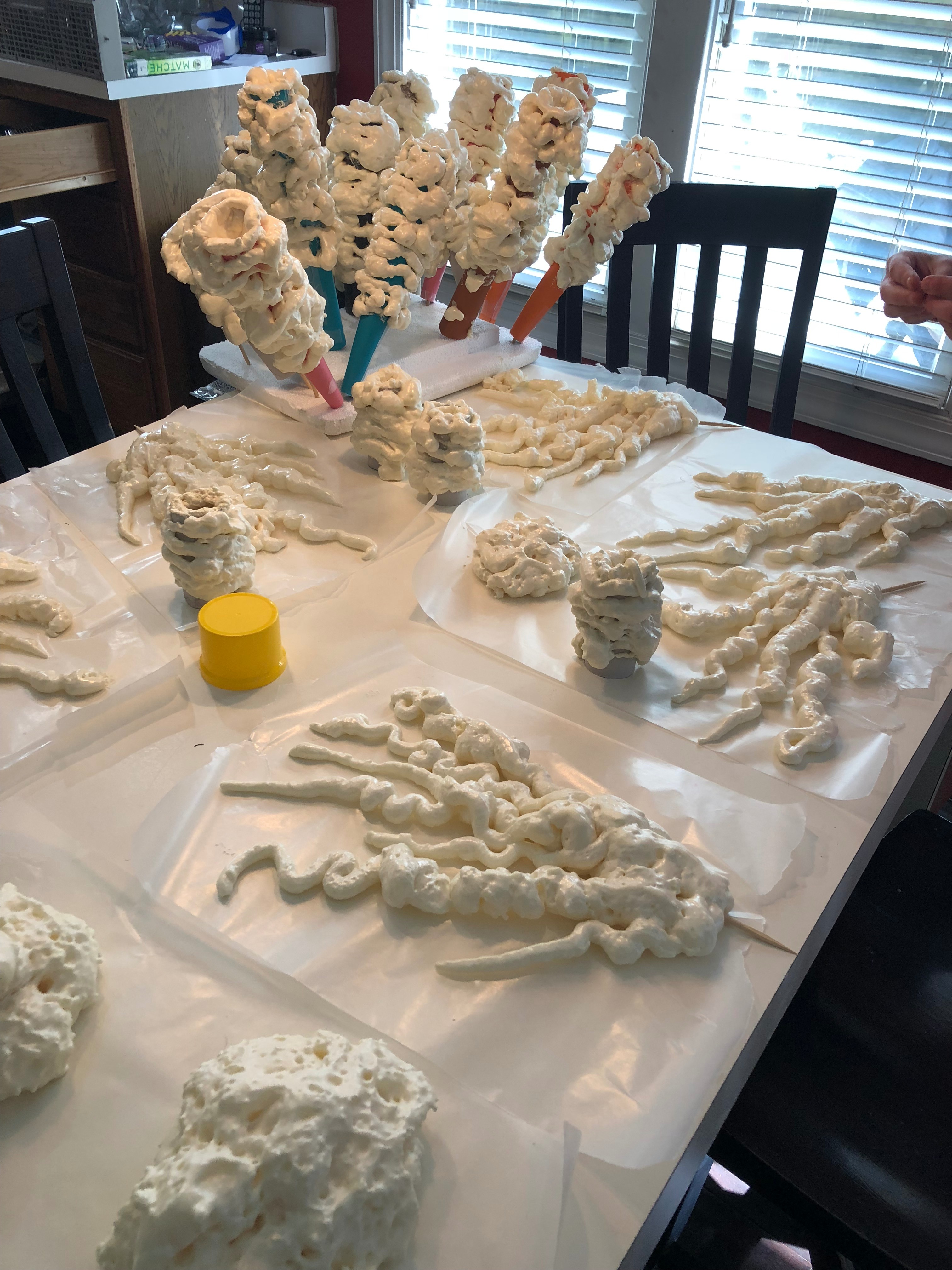 Spray foam coral.jpg