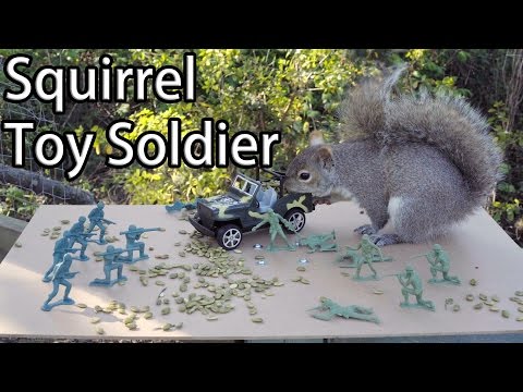 Squirrel vs Toy Soldier - SONY A6300 Powered by Raspberry Pi