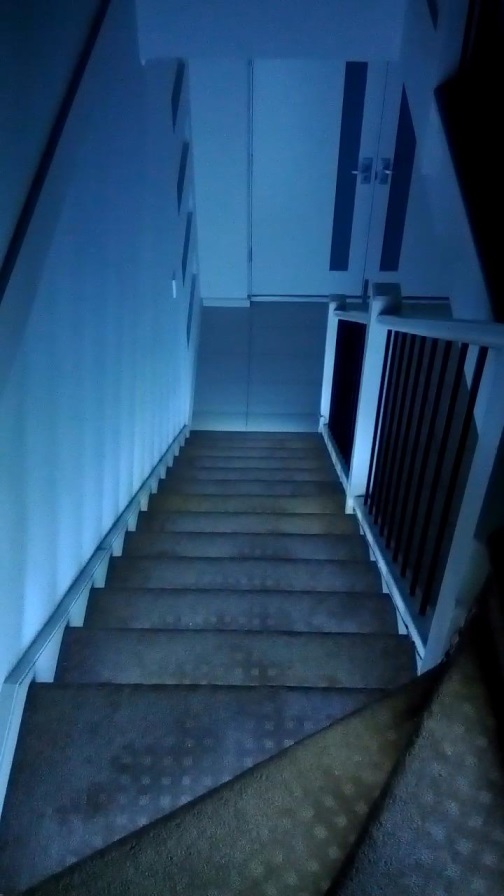 Stairlights_demo.mp4_snapshot_01.02_[2013.08.05_15.08.11].jpg