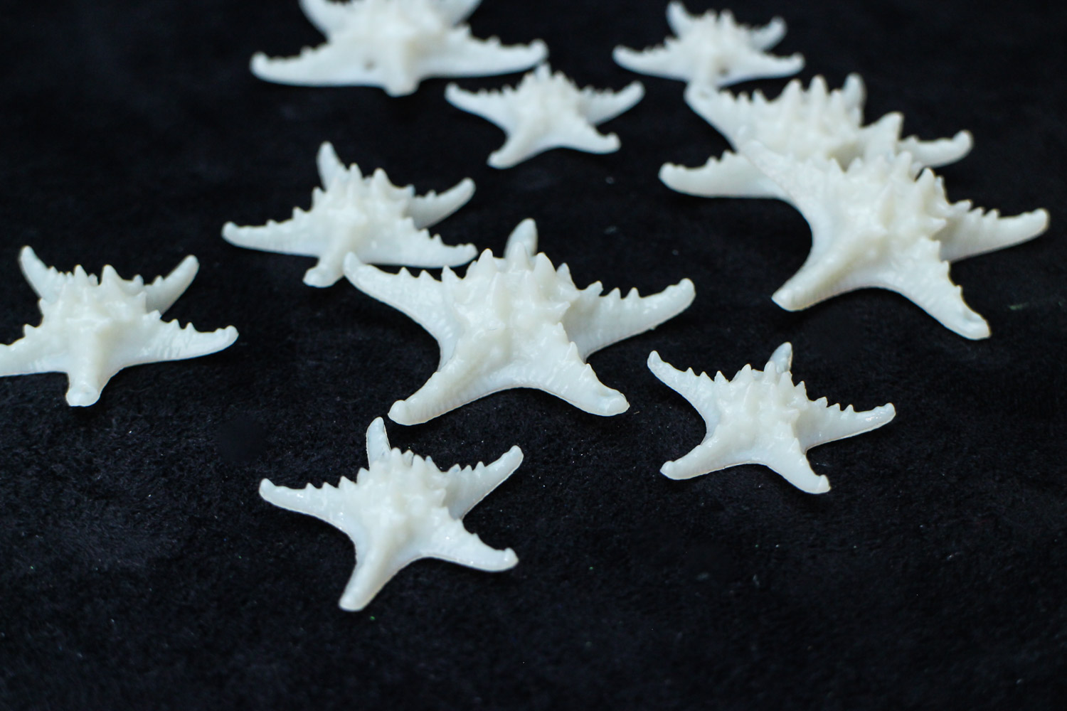 Starfish Earrings-29.jpg