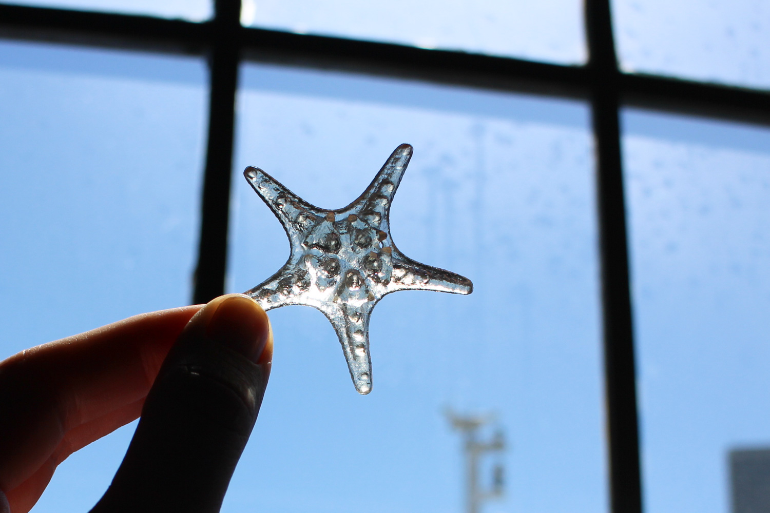 Starfish Earrings-7.jpg