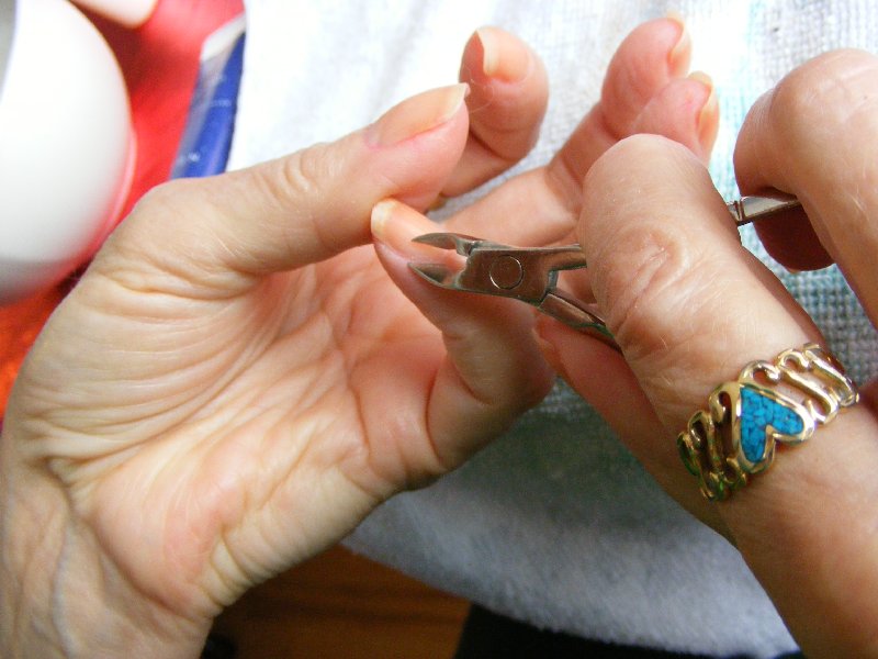 Step 2 Cuticle 4.jpg