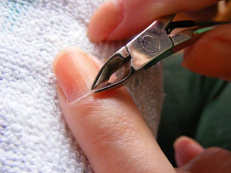 Step 2 Cuticle 5.jpg