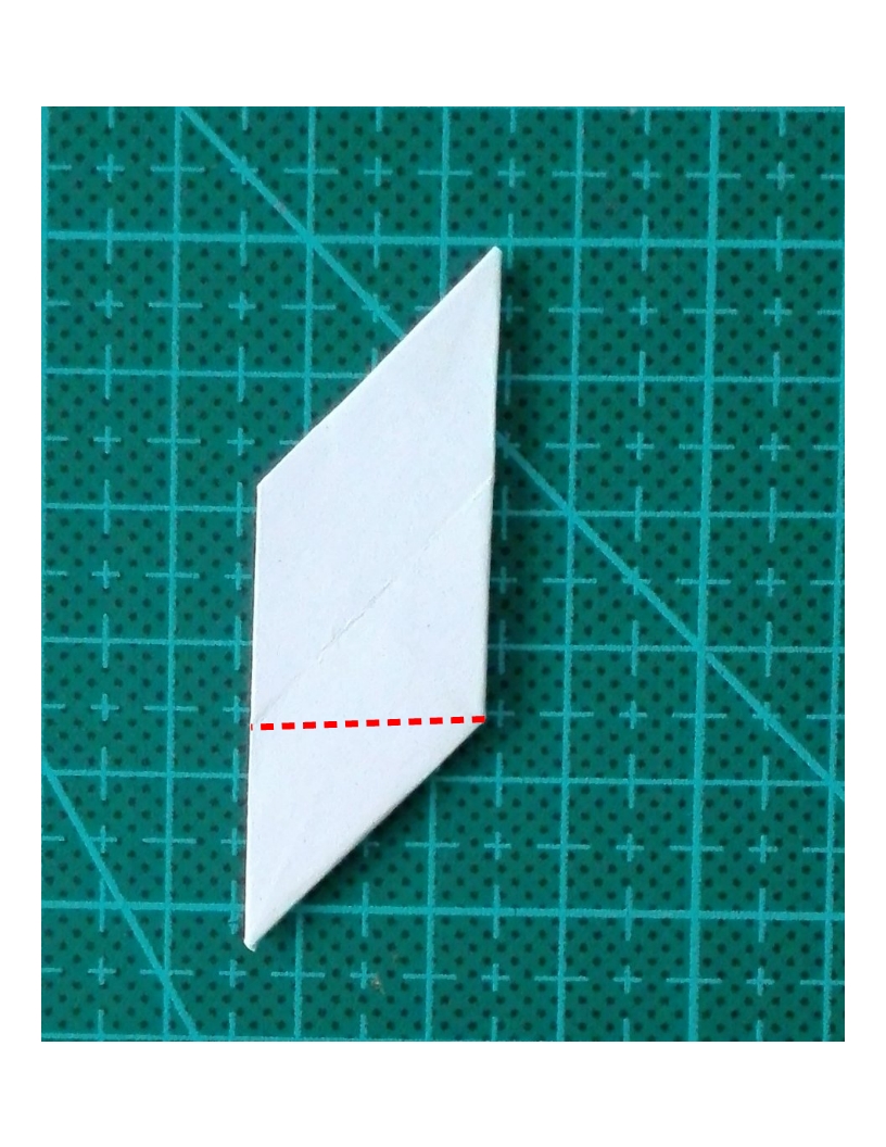 Step 8-dotted line.jpg