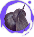Step5.png