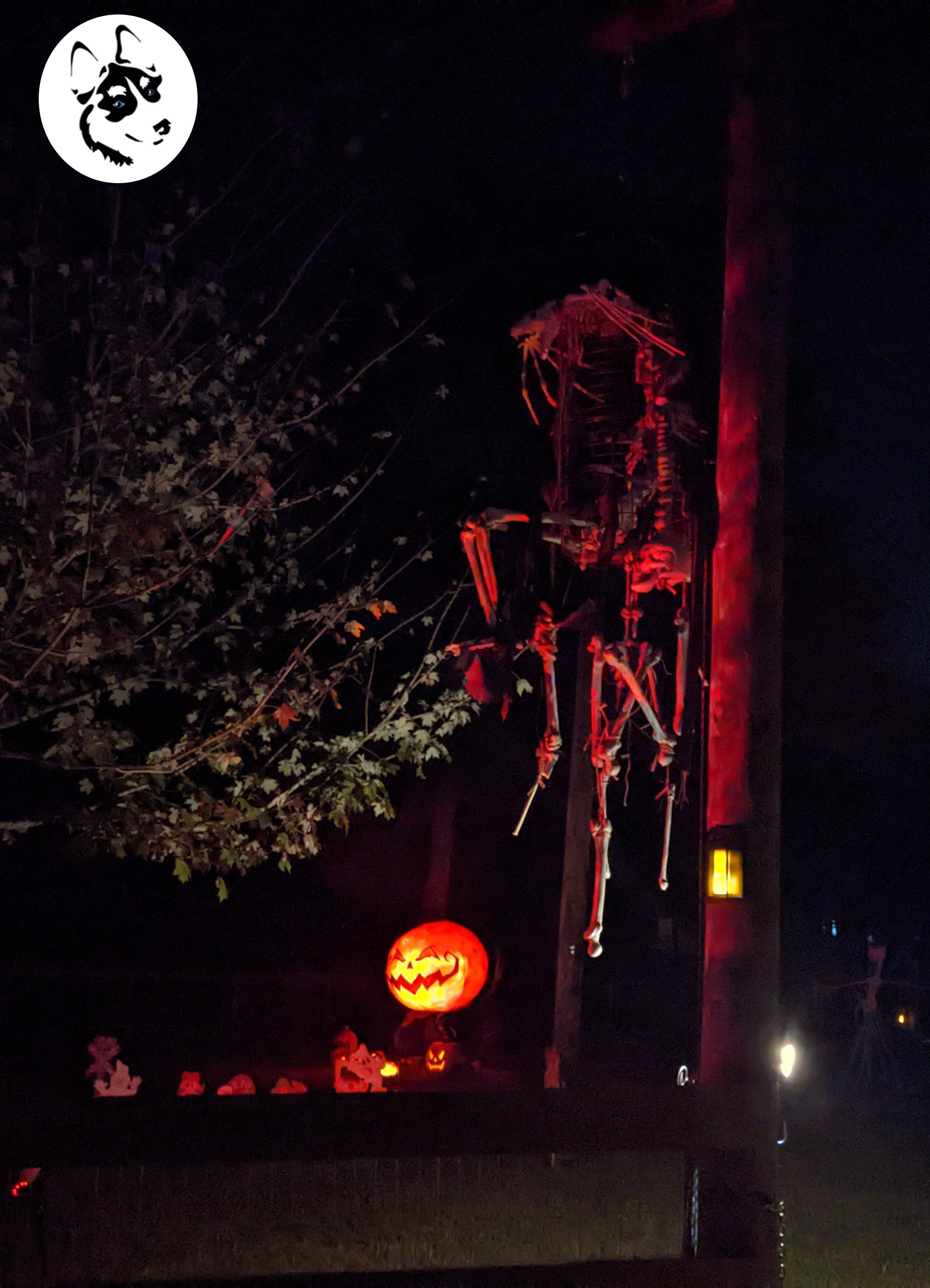 StewieWorks_cagedskellyhalloweendecor2022.jpg