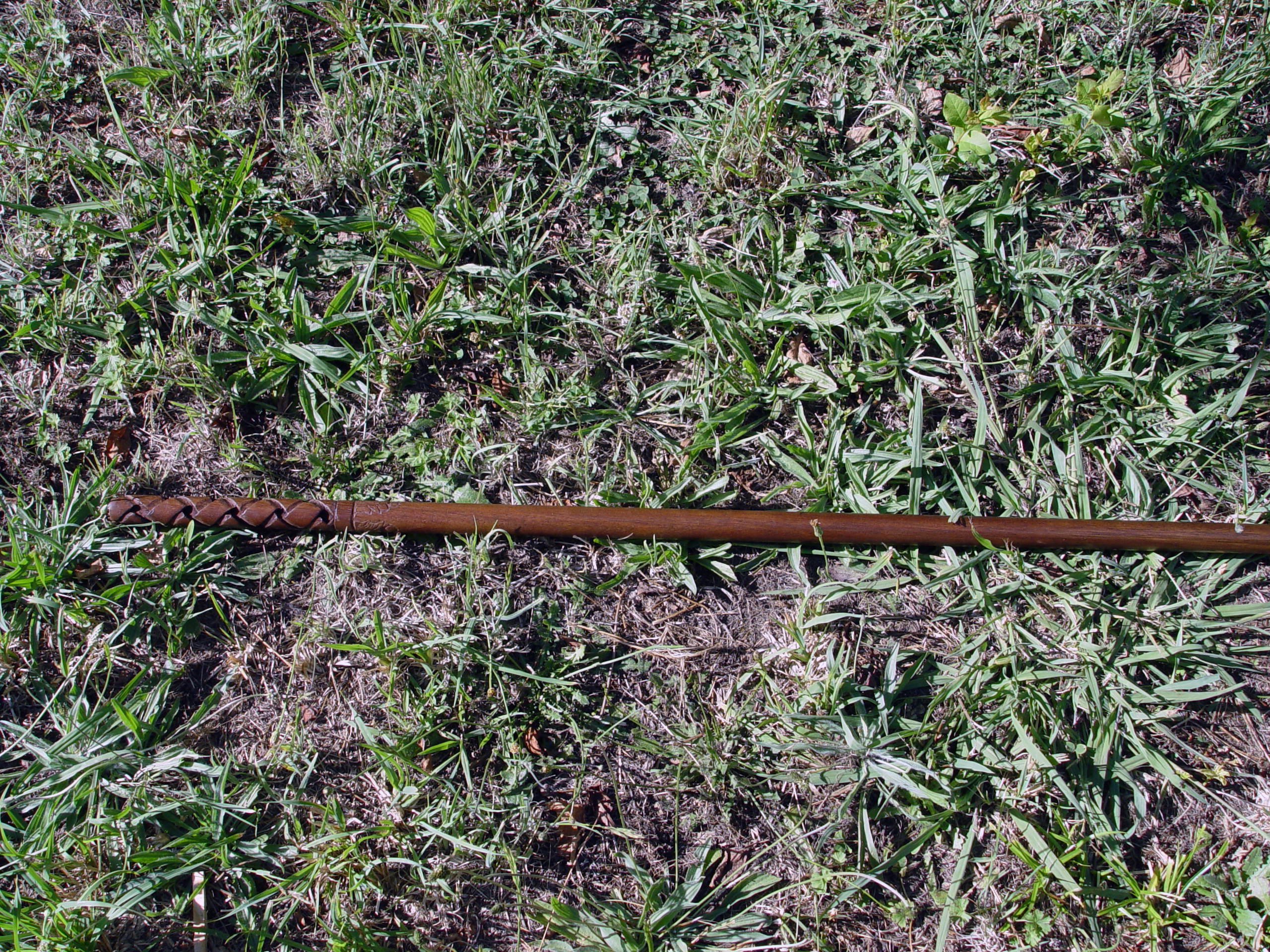 Stick-Grass.jpg