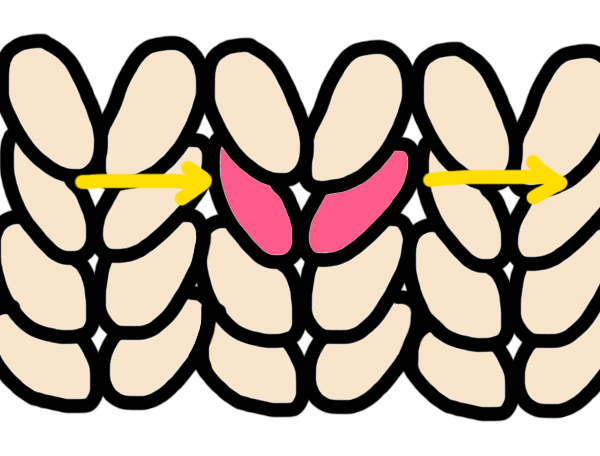 Stockinette diagram 3.jpg