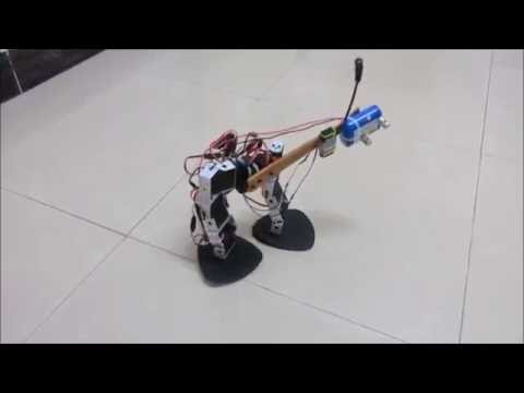 StriderBot - Bipedal Robot