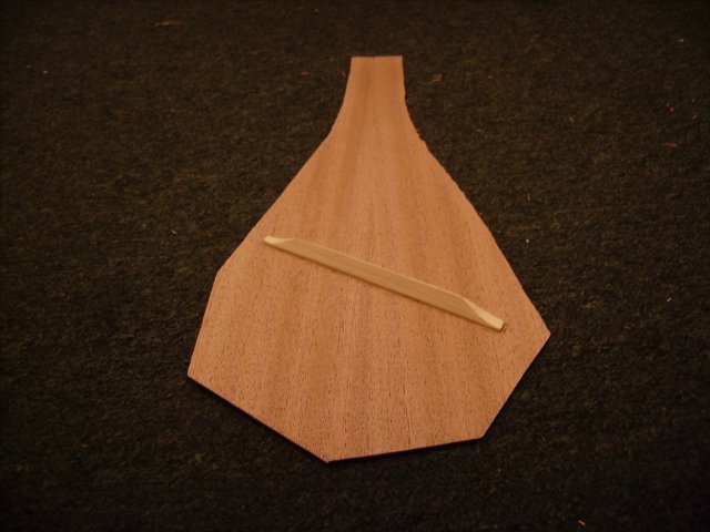 Strum Stick 05 web.JPG