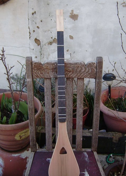 Strum Stick 11 web.JPG