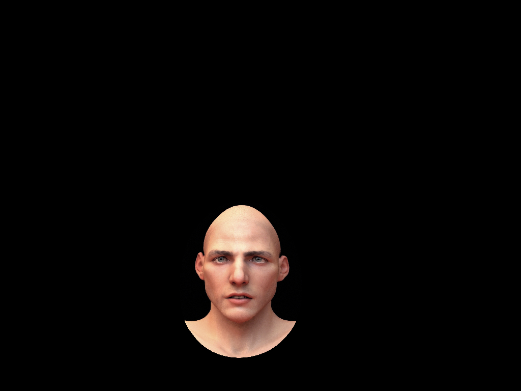 Styrofoam head with bezier suface - SurfaceMapperGUI (render).png