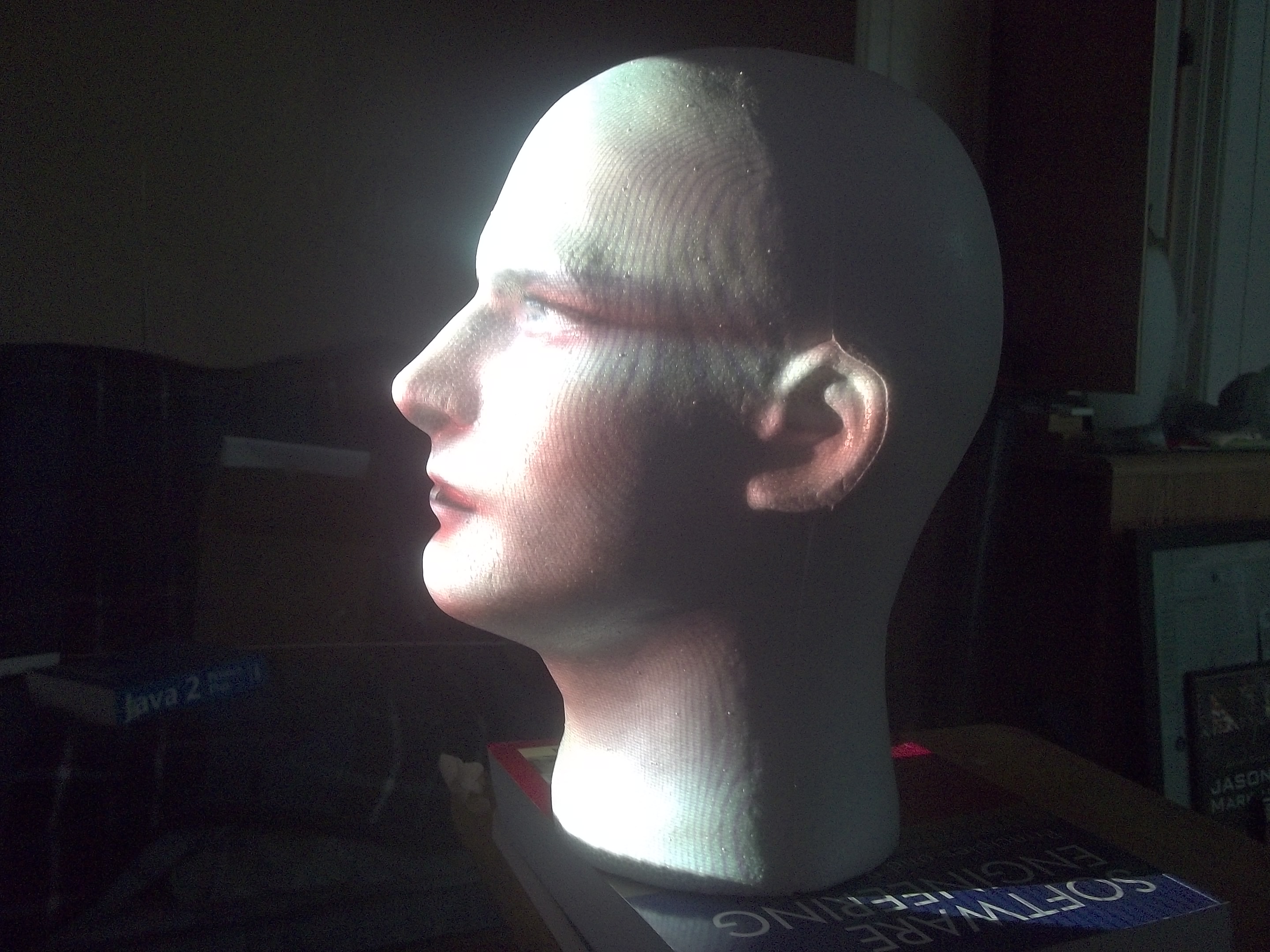 Styrofoam head with bezier surface (2).JPG