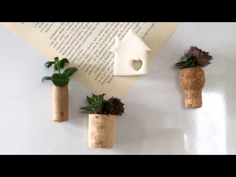 Succulent  Wine Cork Magnets