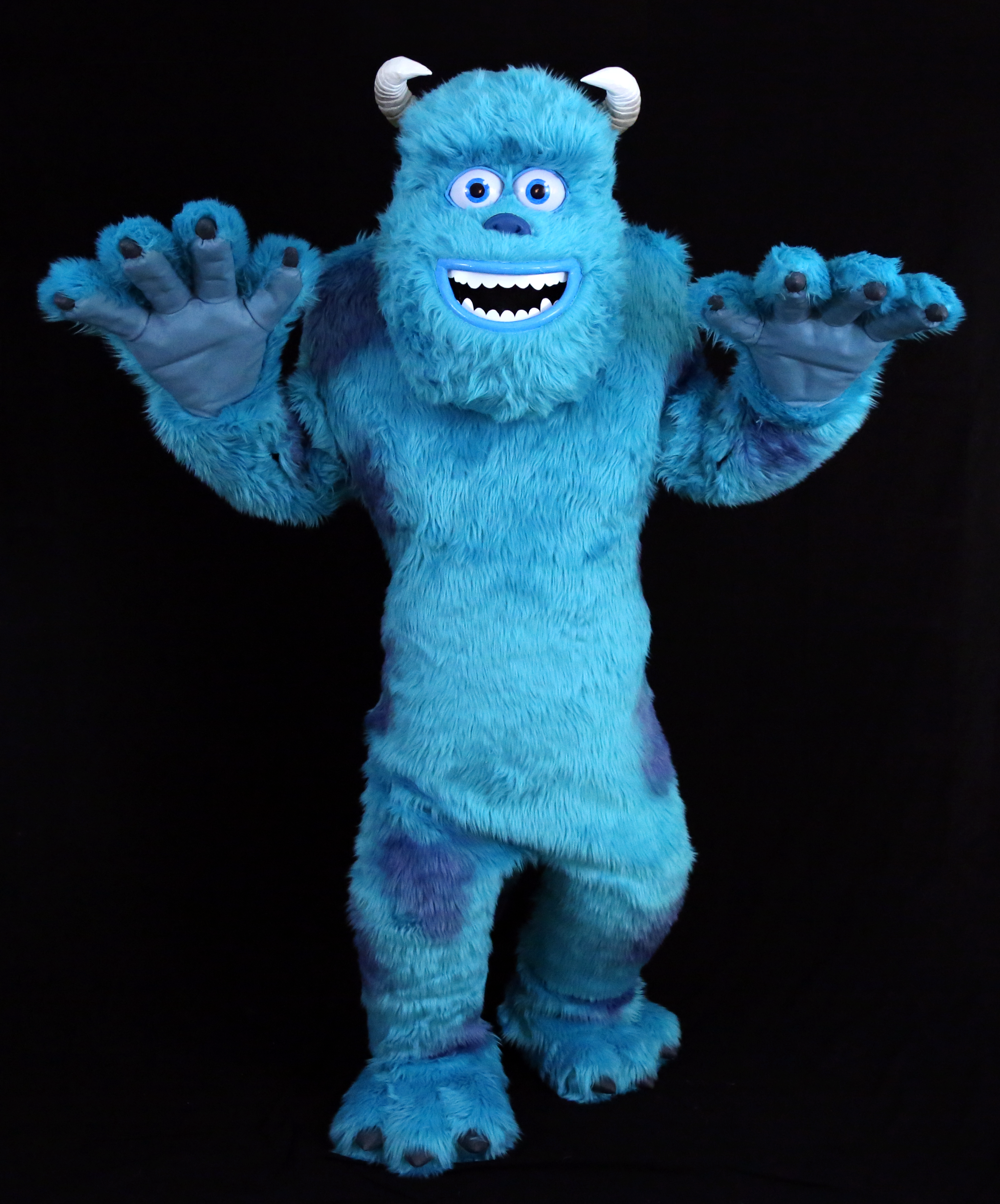 Sully 1.png