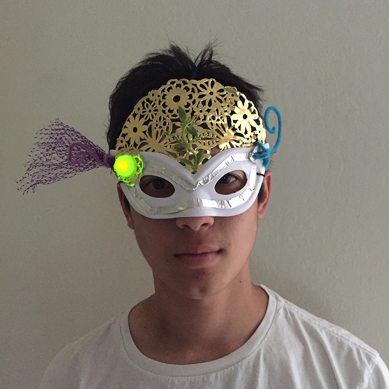 Super hero mask.jpg