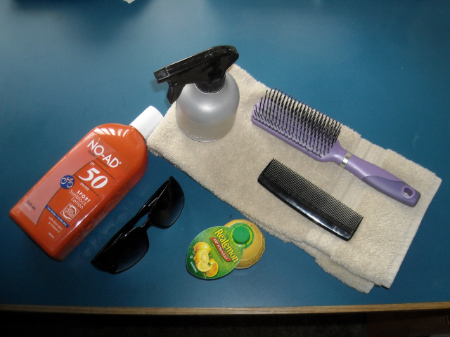 Supplies.jpg