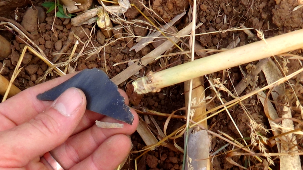 Survival_Atlatl_Stone_Tools_Wild_Cordage_Cane_Dart (24).jpg