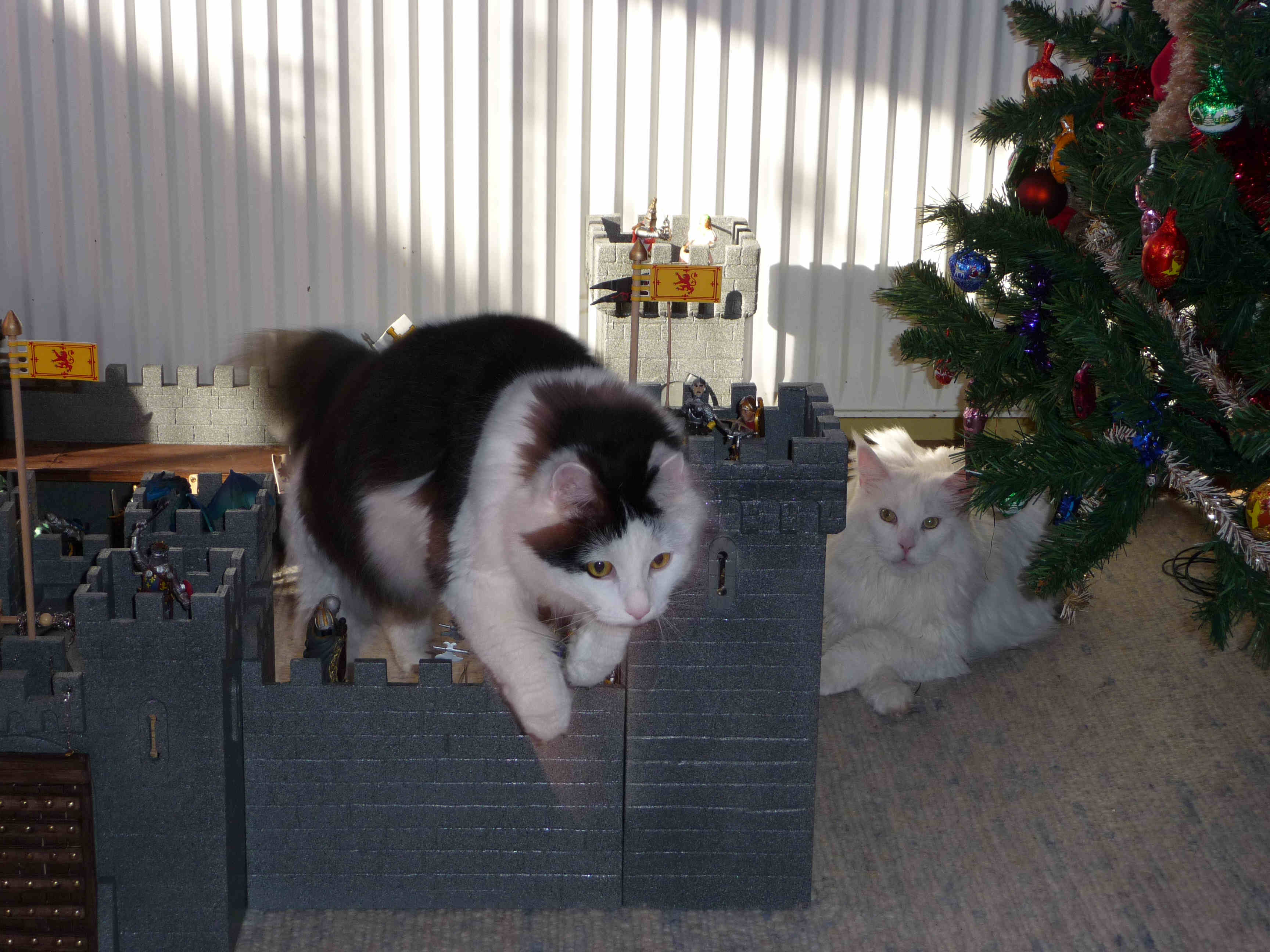 Sylvester and Phoebe lay siege to the castle.JPG