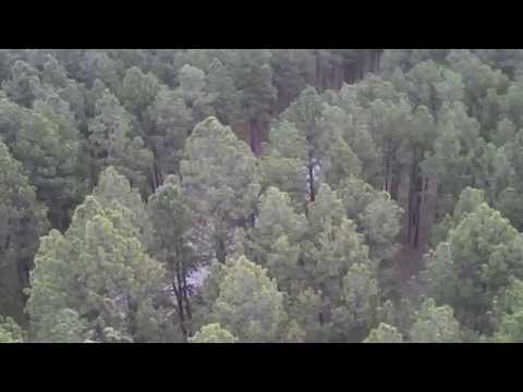 Syma X5C-1 Quadcopter High Flight