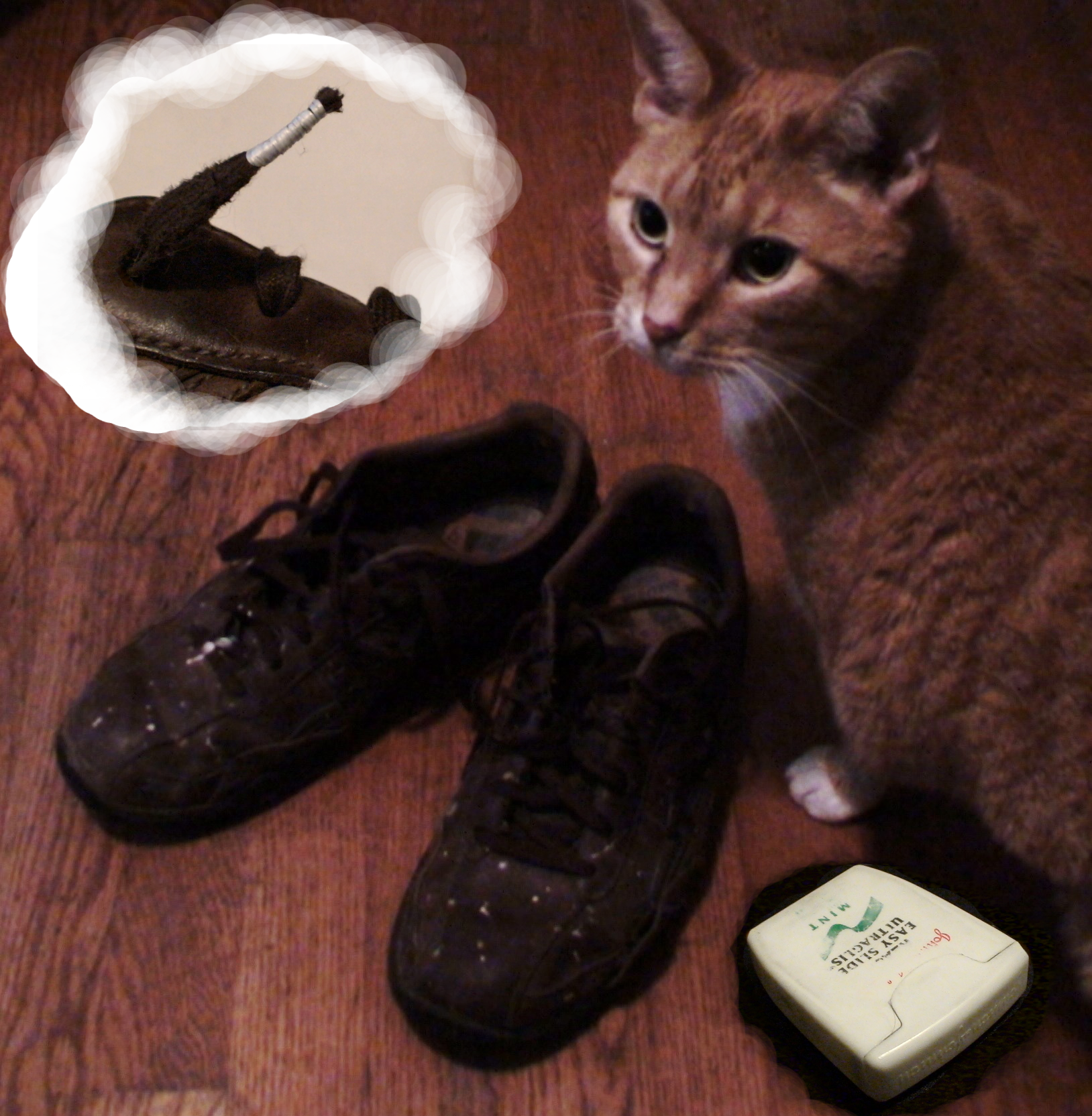 T-Bor with Shoe Collage.png