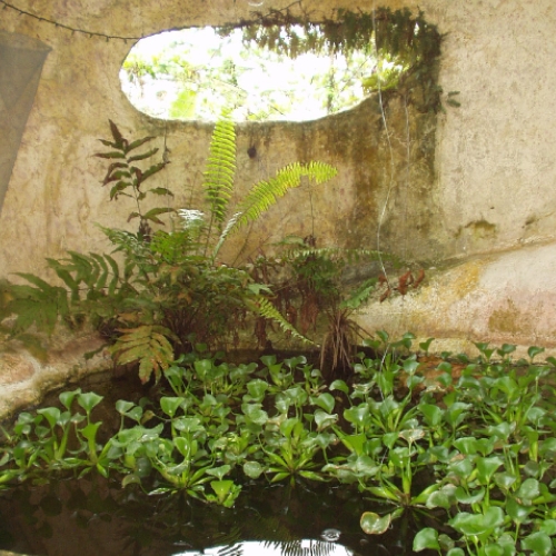 TERMITE NEST CITY (17).JPG